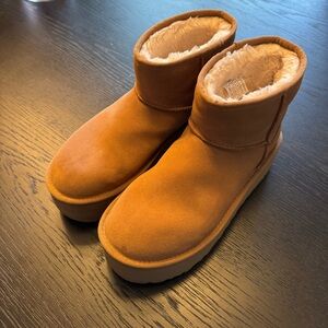 Classic Mini Platform UGG in Chestnut